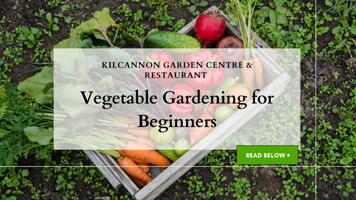 Vegetable Gardening for Beginners