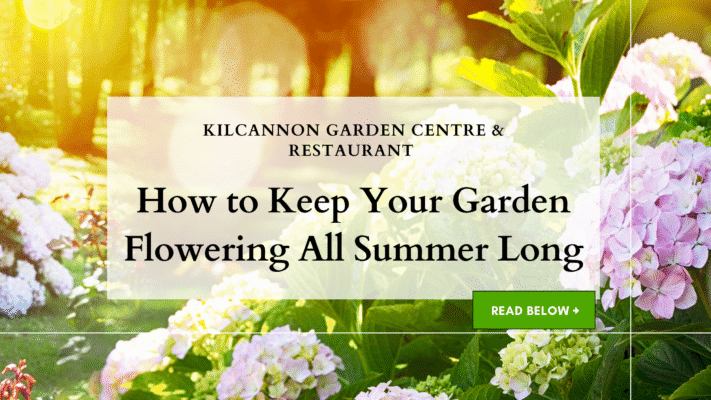 How to Keep Your Garden Flowering All Summer Long