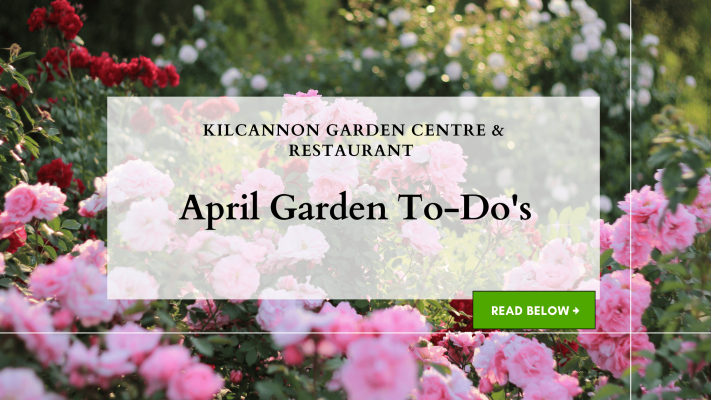 April Garden To-Do's
