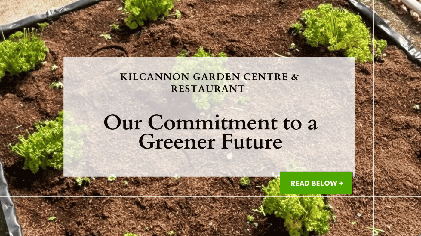 Our Commitment to a Greener Future at Kilcannon