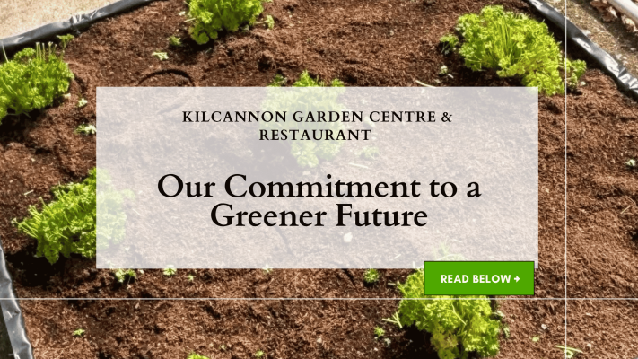 Our Commitment to a Greener Future at Kilcannon